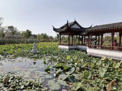 -水西公园