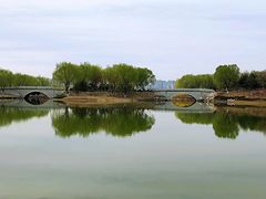 -大兴滨河森林公园