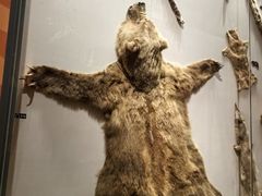 -Behring World of Animals(上海自然博物馆店)