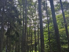 -黑龙江省森林植物园