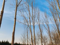 -汉长安城未央宫国家考古遗址公园