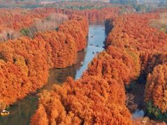 -上海海湾国家森林公园