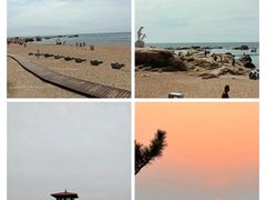 -老虎石海上公园