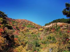 -北京西山国家森林公园