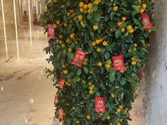 -上海漕河泾万丽酒店