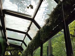 -夏朵花园(复兴西路店)