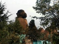 -嵖岈山风景区