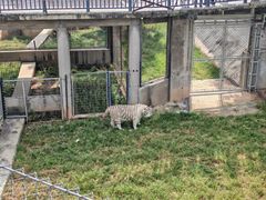 -石家庄市动物园