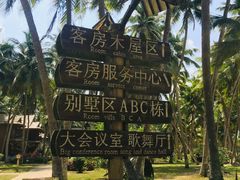 -东郊椰林