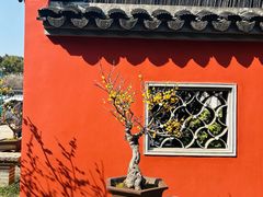 -无锡梅园公园