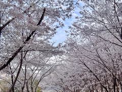 -南京明基医院