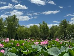 -太阳宫公园