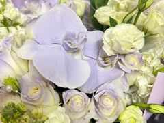 -吉源大排档·鱼生·海鲜(烧烤彩印厂店)