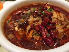 毛血旺-凯鸽酒楼(操场城店)