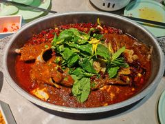 -黔渔翁豆花渎鱼(喷水池店)