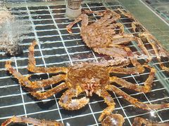 -印象天台·非遗文化美食