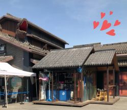 -恐龙探索乐园(磁器口店)