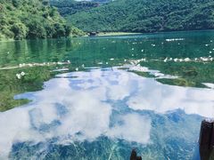-丽江泸沽湖景区-里格半岛