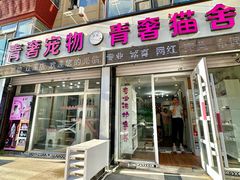 -青奢宠物·青奢猫舍