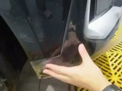 -威固V-KOOL友福汽车贴膜·隐形车衣·改色膜(西直门店)