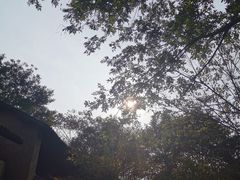 -法云古村