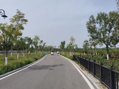 -天津东丽湖风景区