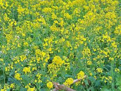 -西南政法大学(渝北校区)