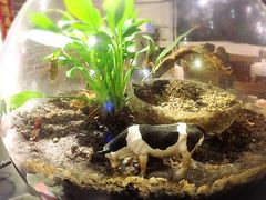 -妈妈的味道(工人体育场东路店)