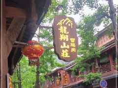 -龙翔山庄雷鸡肉(青城后山泰安古镇店)