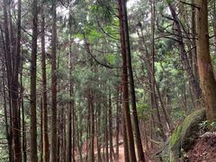 -井冈山风景名胜区-黄洋界