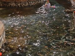 -泉城欧乐堡戏水湾艺术养生温泉