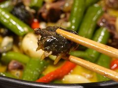 牛蛙-湘里乡亲甲王二老店