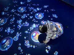 -重庆欢乐海底世界