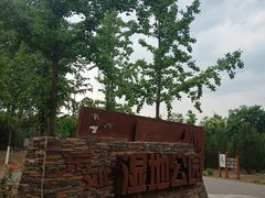 -东郊湿地公园