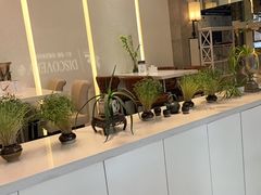 -泉上·发现DISCOVERY ·黔菜餐厅(银海元隆广场店)