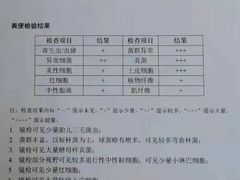 -艾贝尔宠物医院·24H转诊中心·肿瘤猫专科(江宁双龙店)