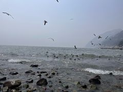 -青岛崂山太清宫