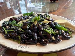 紫苏山坑螺-竹庄餐馆·26年店(南昆山景区店)