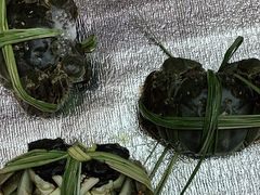 -蟹状元大闸蟹·年货·粽子(成都成华店)