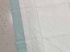 -贝利宠物医院·骨科·眼科·肿瘤转诊中心(南坪诊疗中心)