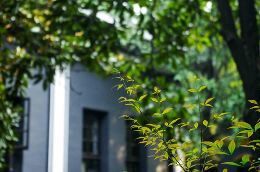 -湖南省立第一师范学校旧址