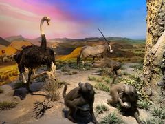 -国家自然博物馆