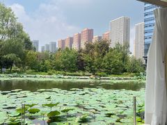 -长白岛森林公园