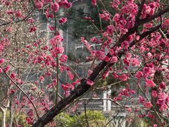 -山东大学(趵突泉校区)