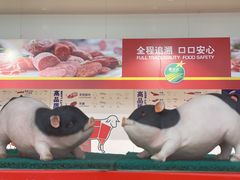 -麦德龙(郑东店)