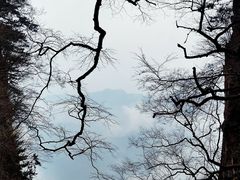 -塔云山