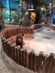 点击看大图 -宝燕乐园(闵行旗舰店)