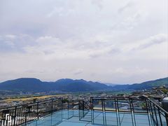 -无有景观餐厅·铜瓢牛肉·下午茶