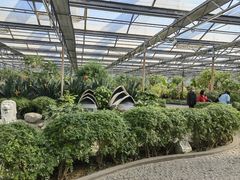 -南宫五洲植物乐园