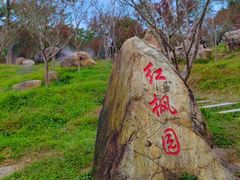 -广州市帽峰山景区